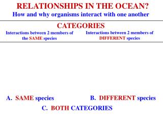 RELATIONSHIPS IN THE OCEAN?
