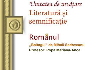 Unitatea de învăţare Literatură şi semnificaţie Romanul