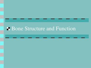 Bone Structure and Function