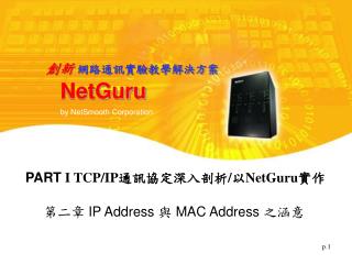 NetGuru by NetSmooth Corporation