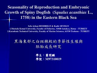 黑 海東部之白斑棘鮫的季節性生殖與胚胎成長研究
