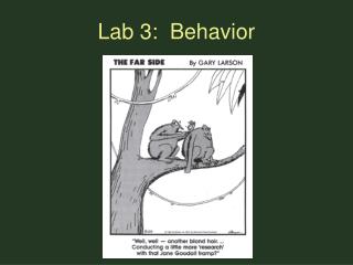Lab 3: Behavior