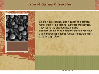 Types of Electron Microscopes
