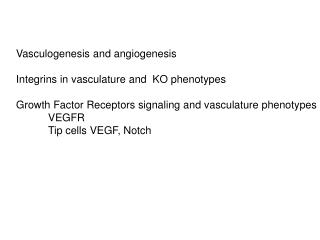 Vasculogenesis and angiogenesis Integrins in vasculature and KO phenotypes