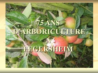 75 ANS D’ARBORICULTURE A FEGERSHEIM