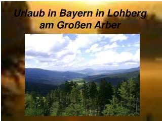 Urlaub in Bayern in Lohberg am Großen Arber