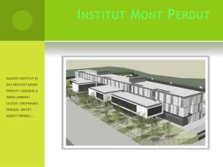 Institut Mont Perdut