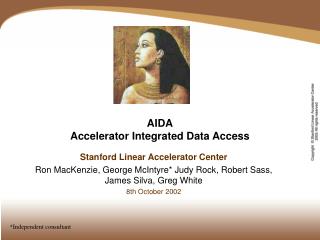 AIDA Accelerator Integrated Data Access