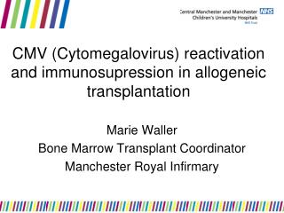 CMV (Cytomegalovirus) reactivation and immunosupression in allogeneic transplantation