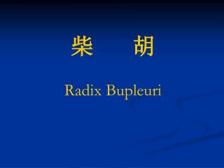 柴 胡 Radix Bupleuri