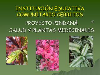 INSTITUCIÓN EDUCATIVA COMUNITARIO CERRITOS