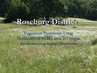 Roseburg District