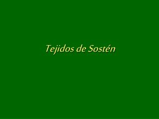 Tejidos de Sostén