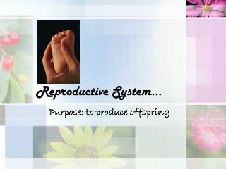 Reproductive System…