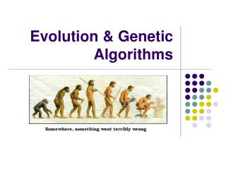Evolution &amp; Genetic Algorithms
