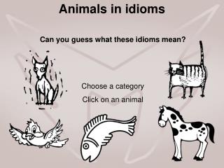 Animals in idioms
