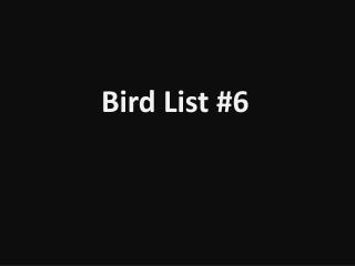 Bird List #6