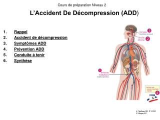 L’Accident De Décompression (ADD )