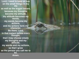 Lord, I need to keep an eye on the small things in my life as well as the bigger issues,