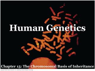 Human Genetics