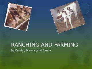 RANCHING AND FARMING