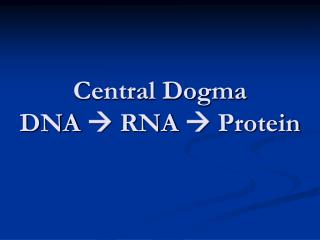 Central Dogma DNA  RNA  Protein