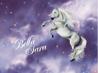 Was ist Bella Sara?