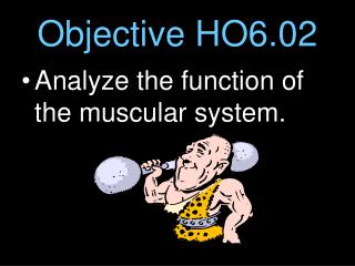 Objective HO6.02