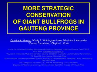 MORE STRATEGIC CONSERVATION OF GIANT BULLFROGS IN GAUTENG PROVINCE