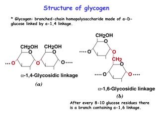 Structure of glycogen