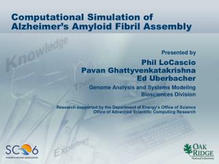 Computational Simulation of Alzheimer’s Amyloid Fibril Assembly