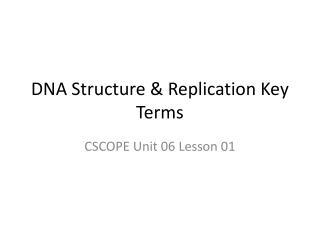 DNA Structure &amp; Replication Key Terms