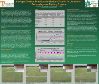Canopy Cultural Practices to Reduce Thatch in Ultradwarf Bermudagrass Putting Greens