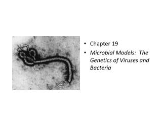 Chapter 19 Microbial Models: The Genetics of Viruses and Bacteria