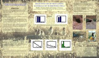 SELECTIVE USE OF NEST LINING MATERIALS BY BURROWING OWLS