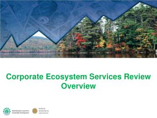 Corporate Ecosystem Services Review Overview
