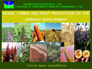GRAIN, FIBBER AND FRUIT PRODUCTION IN THE CERRADO DEVELOPMENT