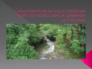 CARACTERISTICAS DE LOS ECOSISTEMAS HIDRICOS”MICROCUENCA QUEBRADA LA CHIGUAZA