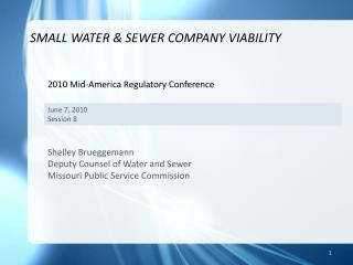 SMALL WATER &amp; SEWER COMPANY VIABILITY
