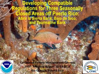 Caribbean Fishery Management Council 150 th Meeting August 12-13 2014 Rio Grande, Puerto Rico