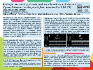 BOON, J.A. Veterinary Echocardiography. 2.ed. West Sussex: Wiley-Blackwell, 2011, 610p.