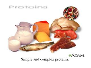 Simple and complex proteins,