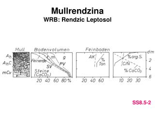 Mullrendzina WRB: Rendzic Leptosol