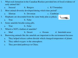 What rock formation in the Canadian Rockies provided lots of fossil evidence of early animal life?