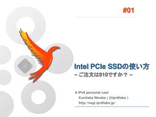 Intel PCIe SSD の使い方