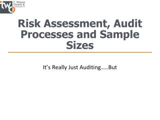 Risk Assessment, Audit Processes and Sample Sizes
