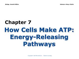 How Cells Make ATP: Energy-Releasing Pathways