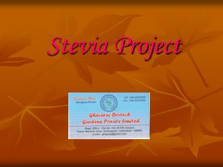 Stevia Project