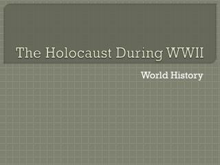 The Holocaust During WWII