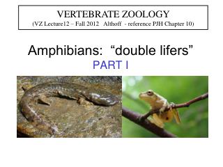 Amphibians: “double lifers” PART I
